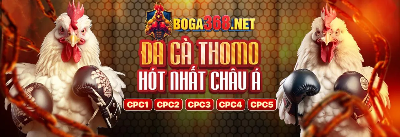 Hình ảnh minh họa chính sách bảo mật của vic88